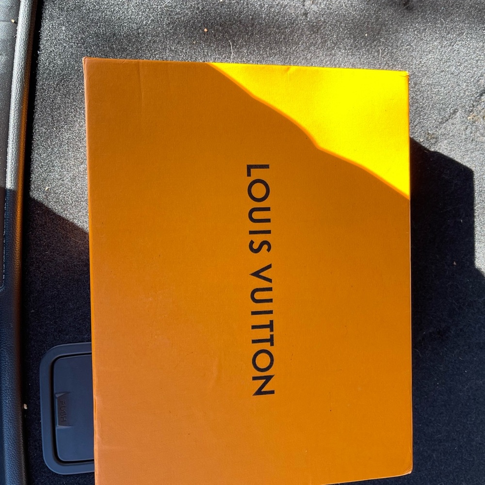 Louis Vuitton booties